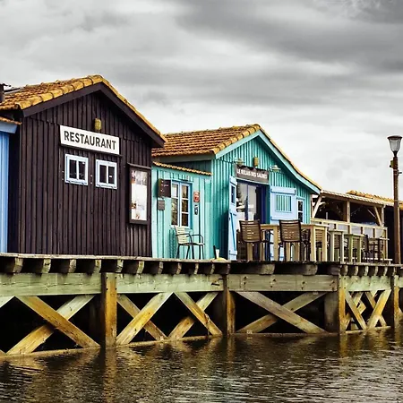 Apartment 2 Pieces 4 Couchages D'oleron Ddo000-461