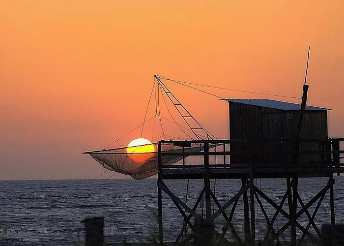 Apartamento 2 Pieces 4 Couchages D'oleron Ddo000-461 *